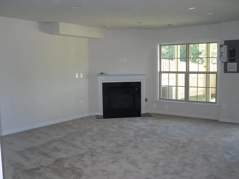 Basement w Fireplace
