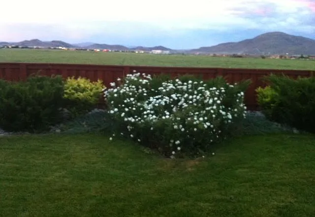 455 Manciano Way — Photo 3