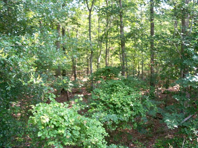 1st image of LOT 5A Plantation Lane