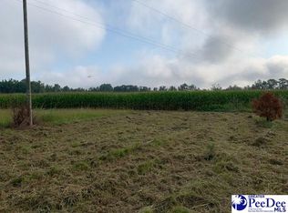 2041 Salem Rd, Scranton, SC 29591