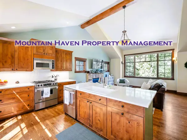 738 Skyline Dr, Idaho Springs, CO 80452