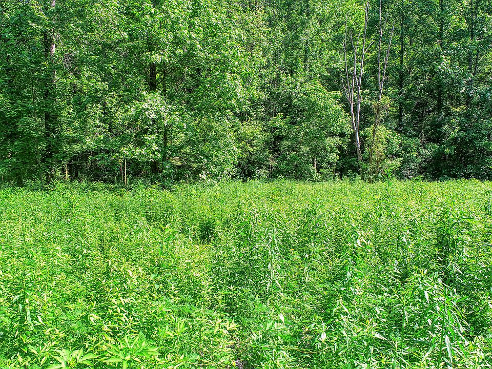 Spruce Pine Rd, Rogersville, TN 37857 MLS 9952875 Zillow