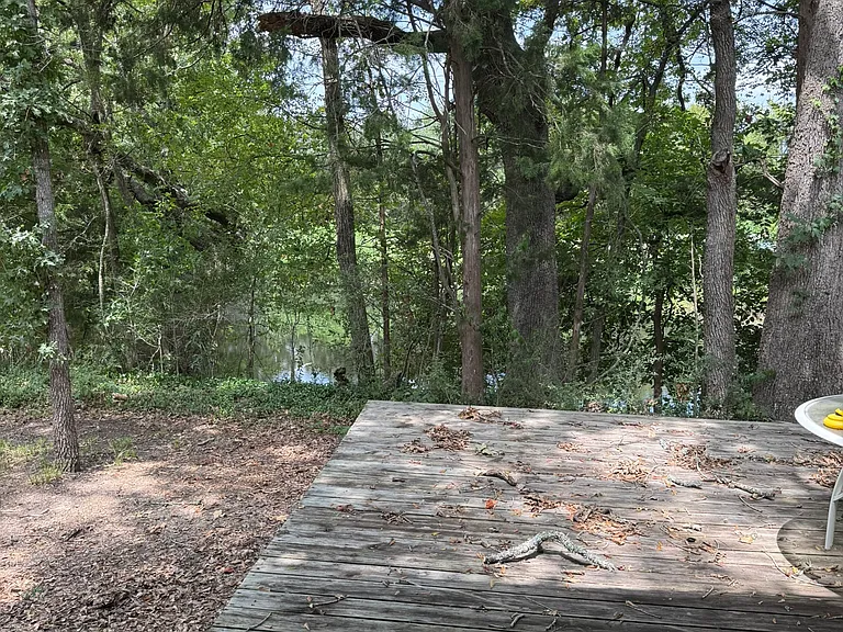 33 Sara Ln — Photo 4
