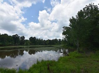 0 Lewis Waters Rd, Leesville, SC 29070