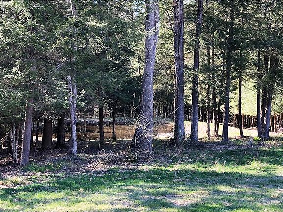 3rd image of 113 Eastwood Dr
