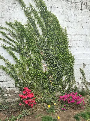 Sold by Corcoran | media 23