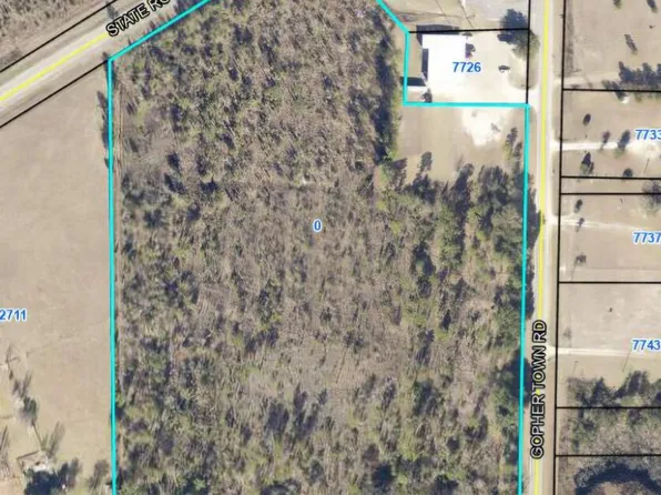 13 Acres Hwy #253, Donalsonville, GA 39845