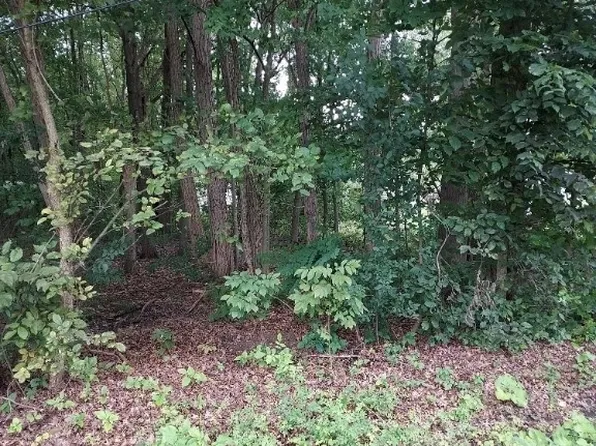 Lundys Ln Lot 1252, Lake Milton, OH 44429