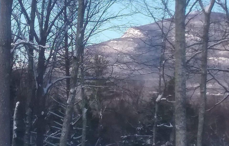 1st image of 83 Buffalo Rd