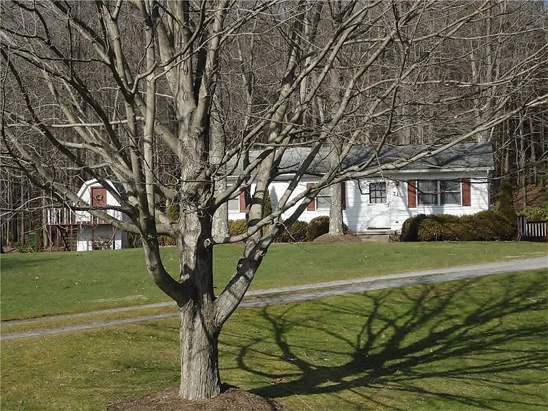 71 Glenn Rd photo 1