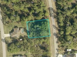 168 Birch Ave S, Lehigh Acres, FL 33974