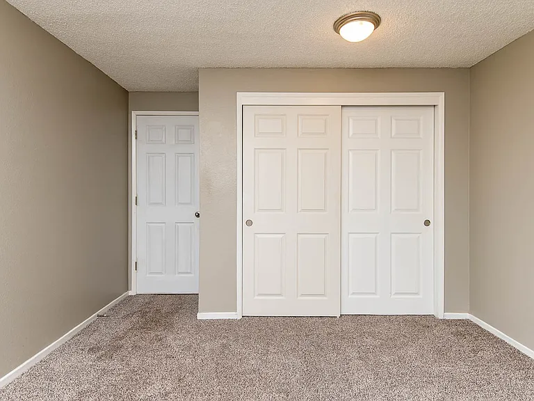 Spacious Bedroom with Closet and Light Brown Carpet