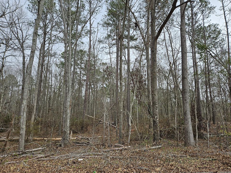 2nd image of 5485/5486 Mitchner Road Extension
