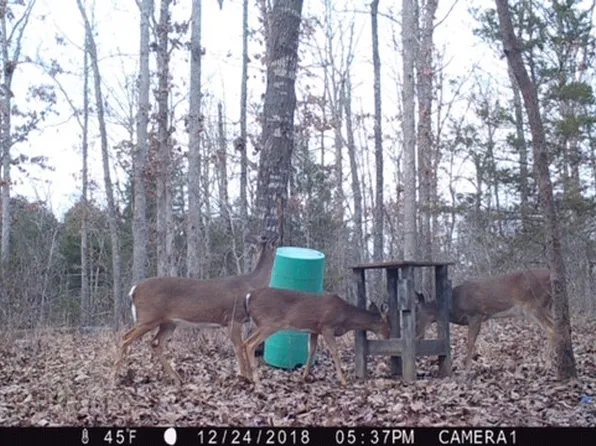 Old Jackson Rd, Imboden, AR 72434