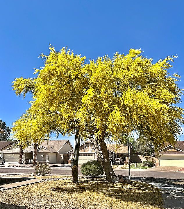 2nd image of 3883 E Whitney Ln