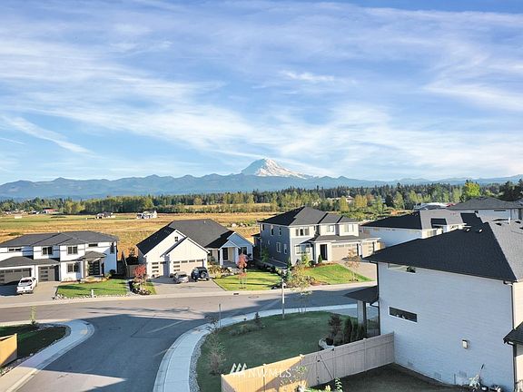 Gorgeous Mount Rainier views! 