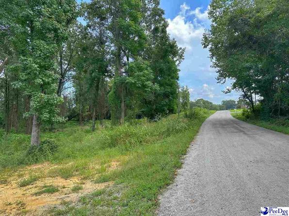 53 & 54 McLaurin Lake Cir, Dillon, SC 29536