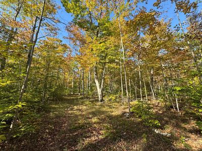 0 Town Line Rd, Washington Island, WI, 54246