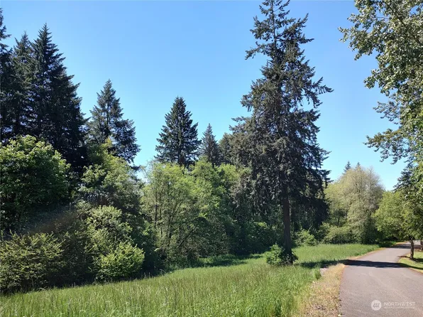 0 NE 294th Circle, La Center, WA 98629