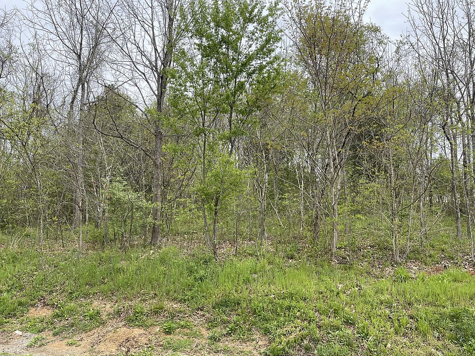 2nd image of 169 Oonoga Way