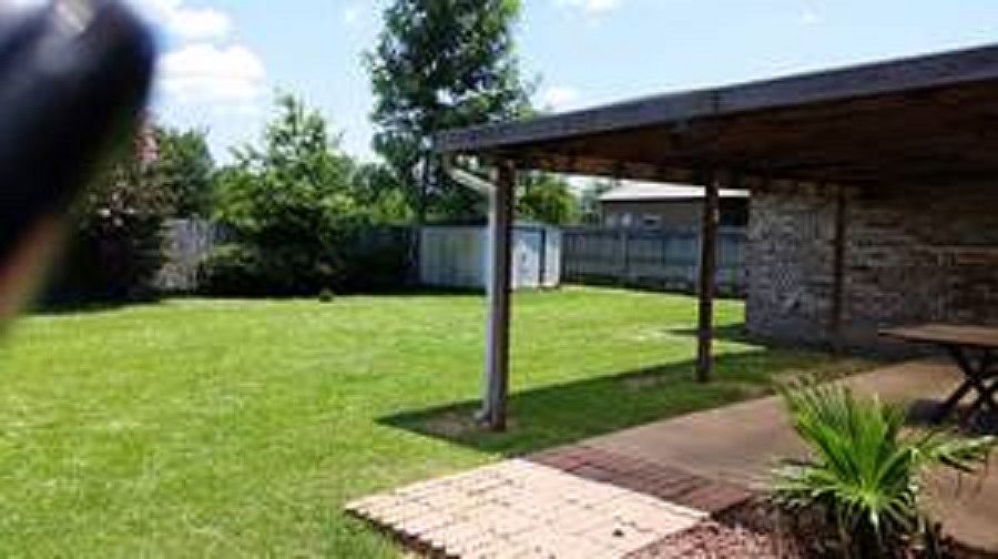 back yard