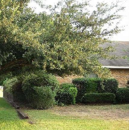 2nd image of 814 Nafus St