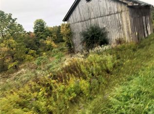 1031 Apulia Rd, Fabius, NY 13084