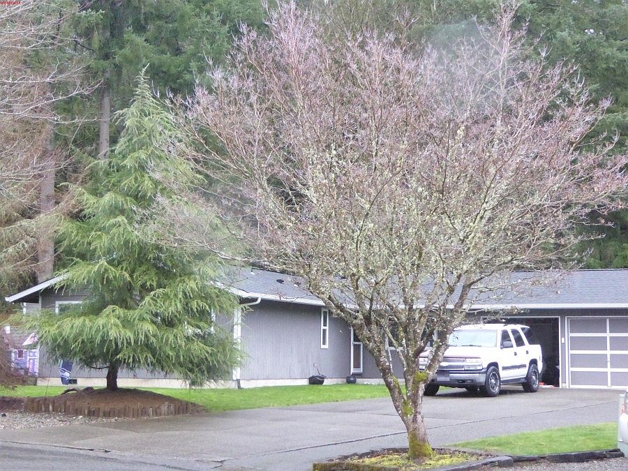 2nd image of 4039 Macadam Ct SE