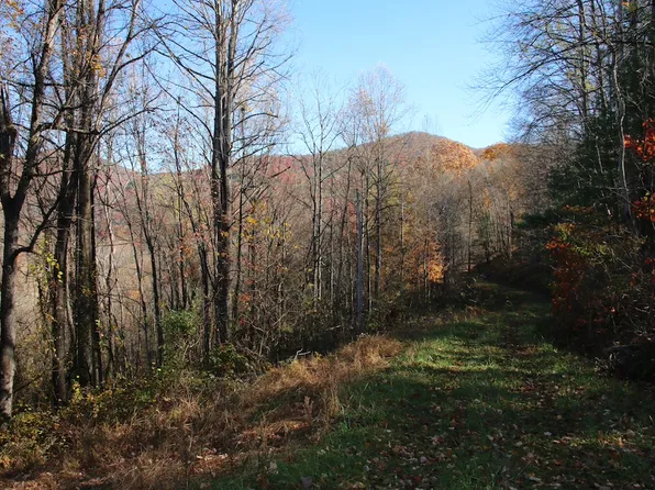 Overlook Mountain Rd Lot Wp001, Elkton, VA 22827
