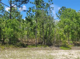 SW 131st Ln LOT 19, Ocala, FL 34473