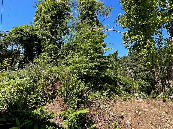 2nd image of Tl1601 Sw Dune Ave