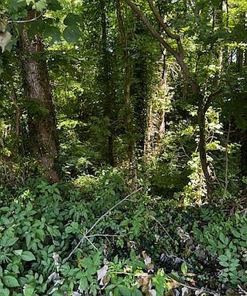 2nd image of LOT 18 Fieldstone Dr Lot 18