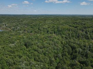 3 Smith Lake Rd, Mancelona, MI 49659