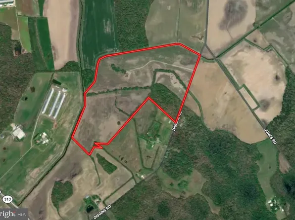 Diggins Rd, Henderson, MD 21640