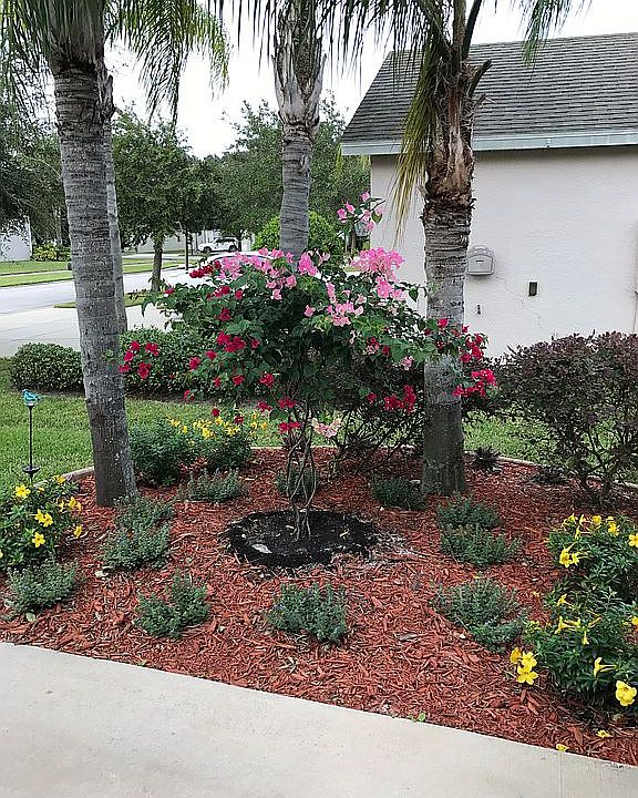 2nd image of 6212 Zane Dr