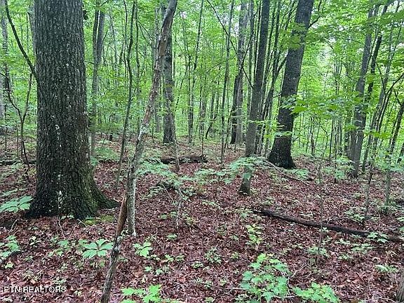 4th image of 0 Maple Ln Lot 34
