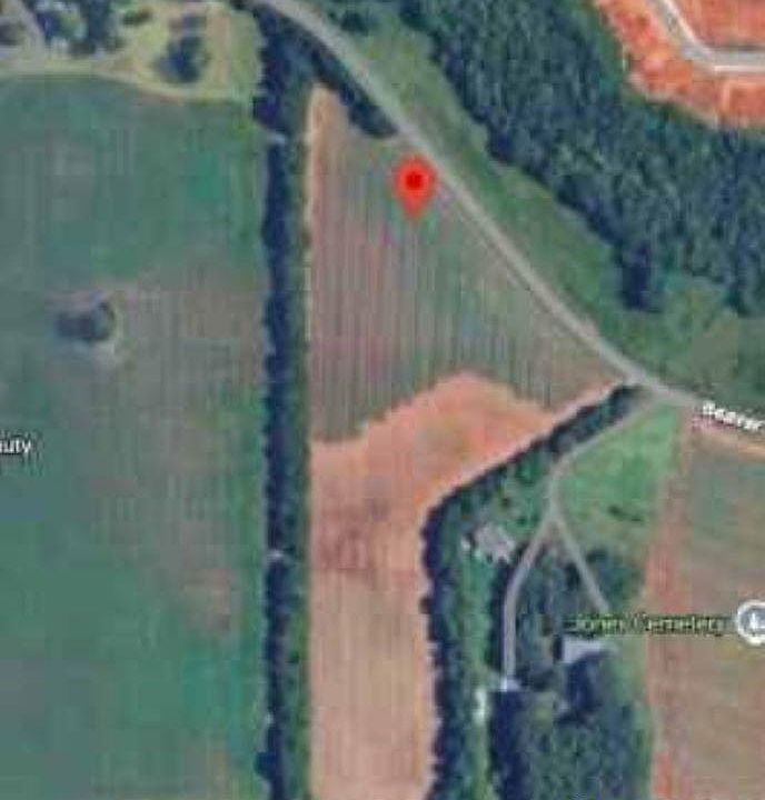 1st image of Beaver Dam Rd