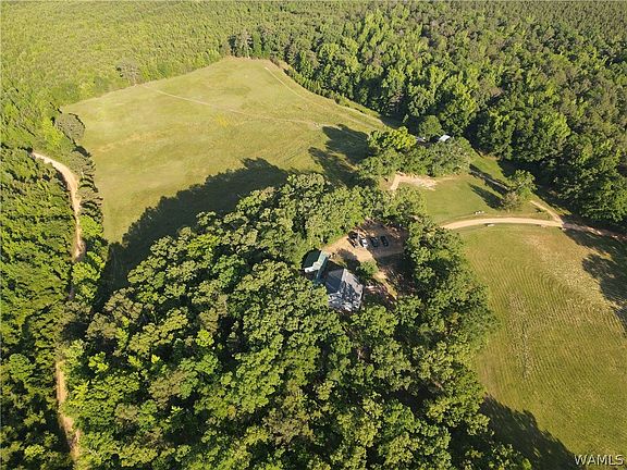 5th image of 672 Coyote Rd