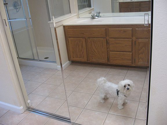 5th image of 5422 Yorba Linda Ct