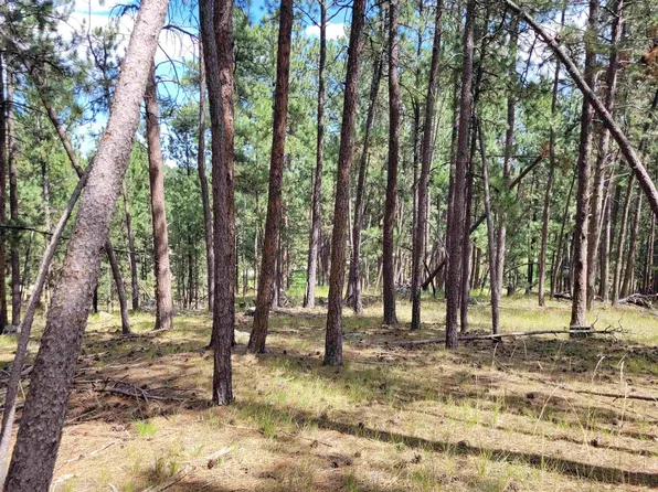 LOT Lechner Ln #B, Custer, SD 57730