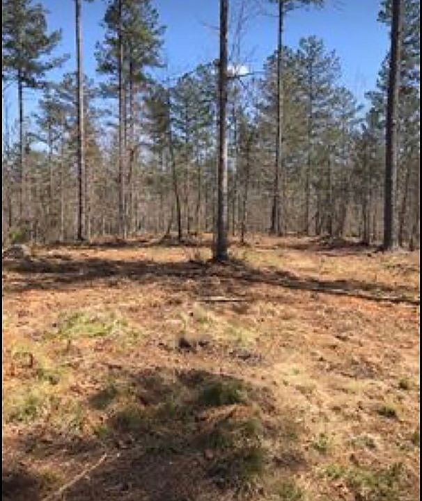 1st image of Big Pine Dr