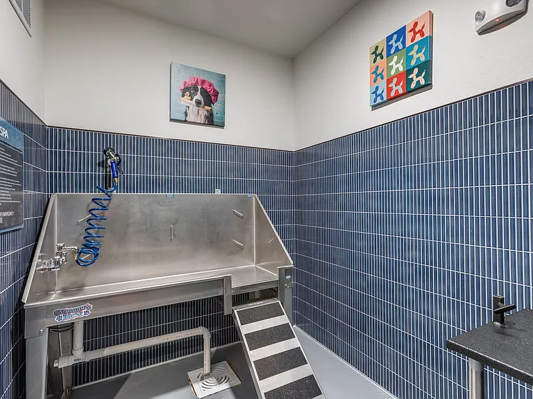 Ivy Heights — Photo 15