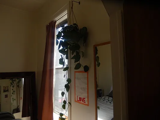 Rented by Owner | media 6