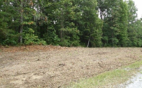 4th image of 0 Hilltop Ln Lot 222