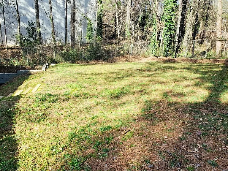 Another view of the back yard