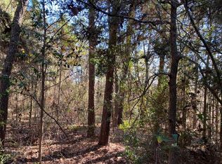 Deerwood Dr, Harleton, TX 75651