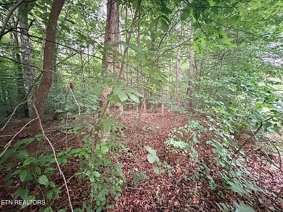 5th image of LOT 3 Evergreen Dr Lot 3