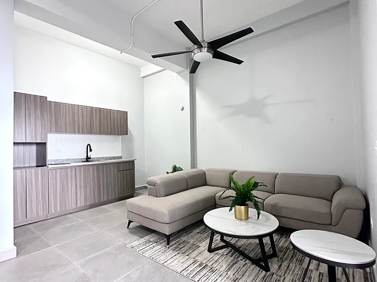 1504 Fernandez Juncos Ave #D — Photo 1