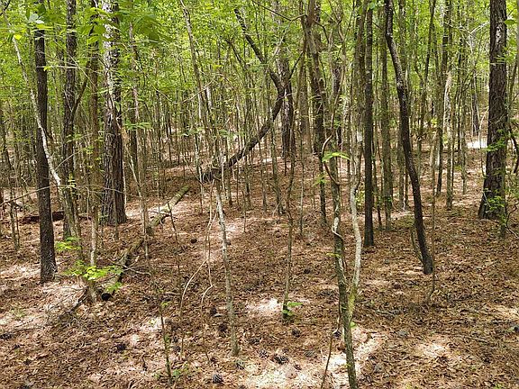 5th image of 1109 Hopewell Church Rd