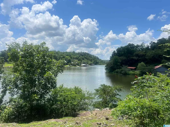 58 River Oaks Cir, Oneonta, AL 35121